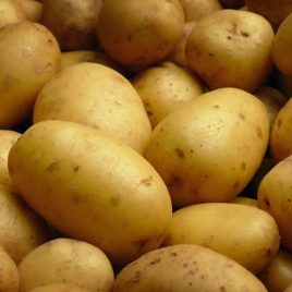 Pommes de terre nouvelle